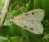 343642 – Photo : Emmanuel Ruchon – France (26)